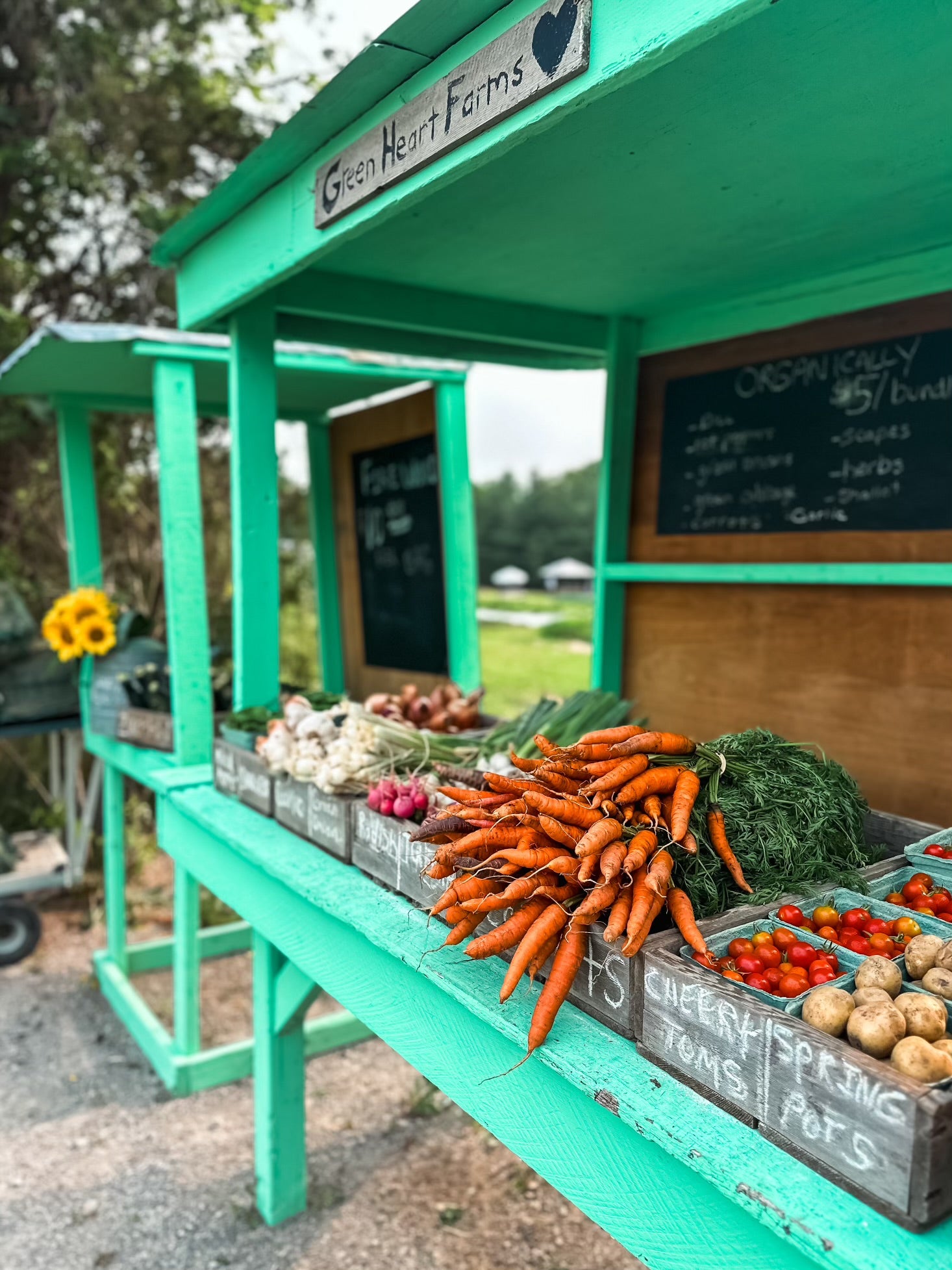 Healthy kids lunch delivery